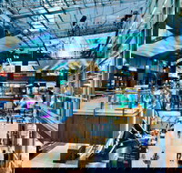 The Galeries - New Castle Holiday