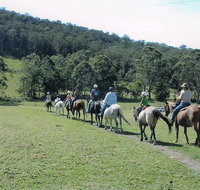 Timbertops - Horse Riding - New Castle Holiday
