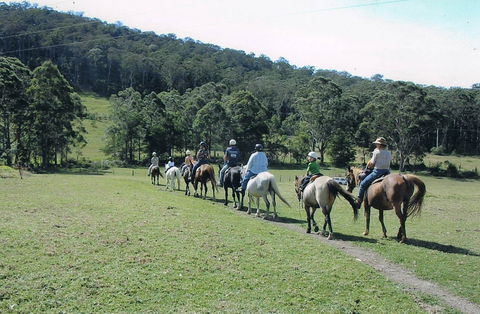 Timbertops - Horse Riding - New Castle Holiday 0
