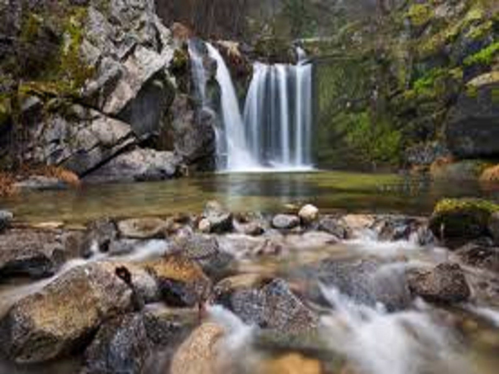 Upper Crystal Creek NSW New Castle Holiday
