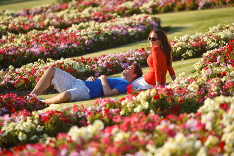 Victoria State Rose Garden At Werribee Park - New Castle Holiday 1