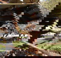 Walcha Open Air Gallery - New Castle Holiday