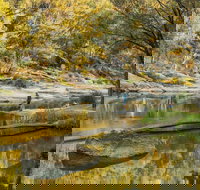 Warrabah National Park - New Castle Holiday