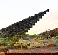 Whyalla Conservation Park - New Castle Holiday