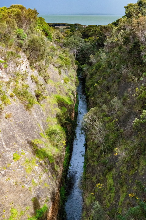 Woakwine Cutting - New Castle Holiday 0