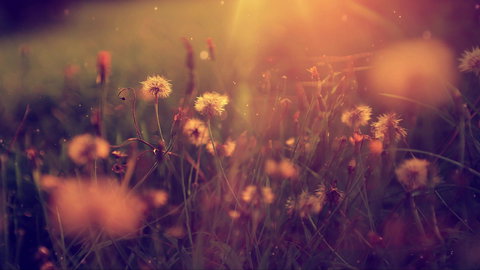 Wuddi Cultural Centre - New Castle Holiday 1