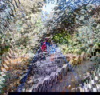 Yea Wetlands Walk - New Castle Holiday