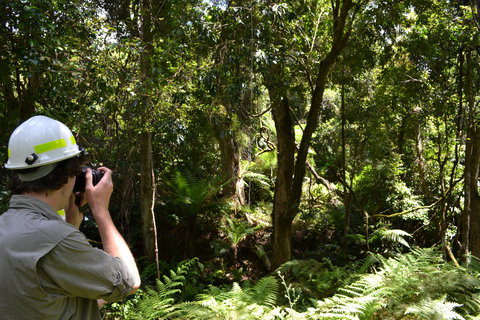 Alfred National Park - New Castle Holiday 0