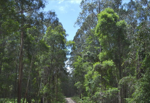 Alfred National Park - New Castle Holiday 1