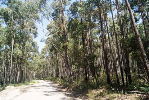 Alfred National Park - New Castle Holiday 2