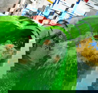 AquaPulse - New Castle Holiday