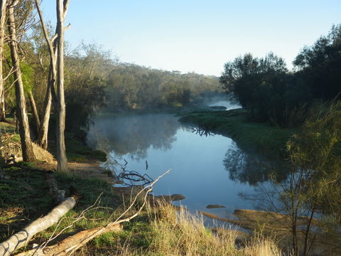 Bilya Walk Track - New Castle Holiday 0