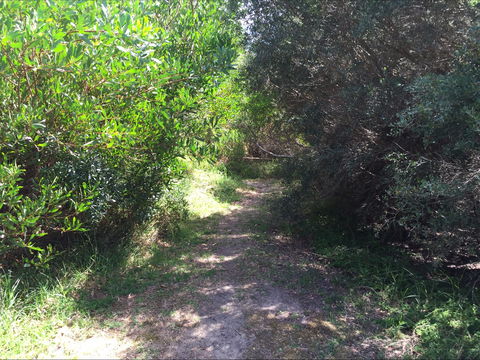 Bluff Track Fitness Trail - New Castle Holiday 2