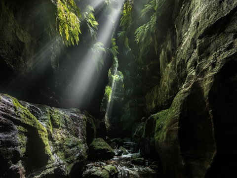 Blue Mountains Heritage Centre And Virtual Reality Experience - New Castle Holiday 0