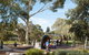 Bonython Park/Tulya Wodli - thumb 1