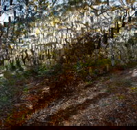 Booderee National Park Munyunga Waraga Dhugan Walking Trail - New Castle Holiday