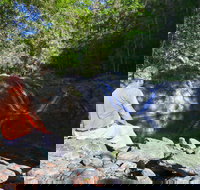 Booloumba Falls Walk Conondale National Park - New Castle Holiday