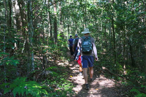 Booloumba Falls Walk, Conondale National Park - New Castle Holiday 1