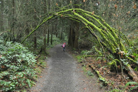 Bridle Trail - New Castle Holiday 0