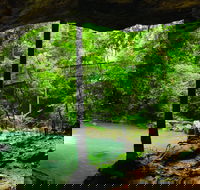 Buderim - New Castle Holiday