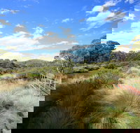 Bullocks walking track - New Castle Holiday