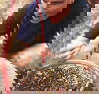 Capricorn Way - New Castle Holiday