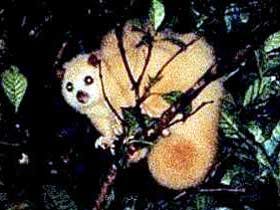 Carrowong Fauna Sanctuary - New Castle Holiday 1