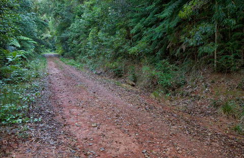 Cascade Mountain Bike Trail - New Castle Holiday 0