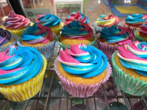 Caterpillars Mildura - New Castle Holiday 0