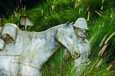 Centenary Park - New Castle Holiday 0