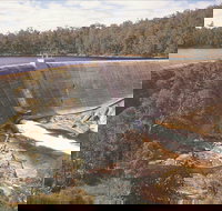 Collie - New Castle Holiday