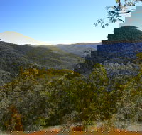 Conondale National Park - New Castle Holiday