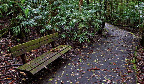 Coombadjha Nature Stroll - New Castle Holiday 0