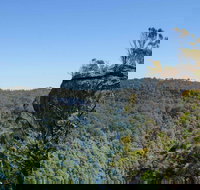 Cooks Nose Walking Track - New Castle Holiday