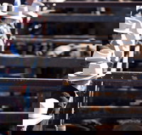 Dalby - New Castle Holiday