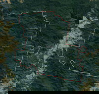 Dingo Forest - New Castle Holiday