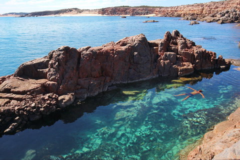 Eyre Peninsula - New Castle Holiday 0