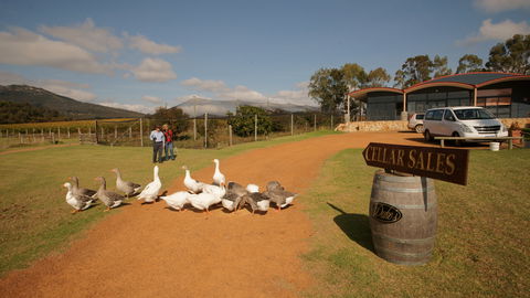Flavours Of The Porongurup Range Trail - New Castle Holiday 2