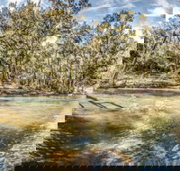 Flea Creek Picnic Area - New Castle Holiday