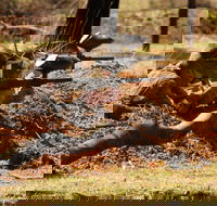 Freycinet Paintball and Campground - New Castle Holiday