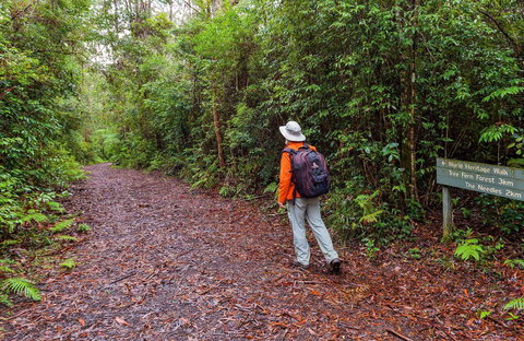 Gibraltar-Washpool World Heritage Walk - New Castle Holiday 0