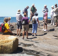 Gondwana Coast Fossil Walk - New Castle Holiday