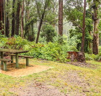 Goodenia Rainforest picnic area - New Castle Holiday