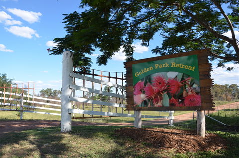 Goovigen - New Castle Holiday 1