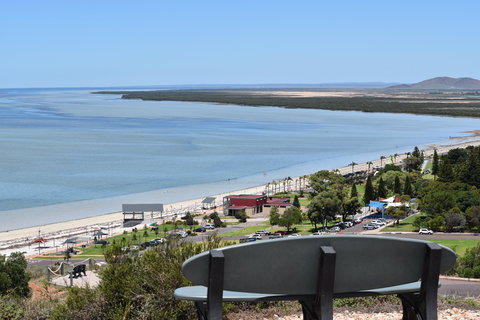 Hummock Hill Lookout - New Castle Holiday 2