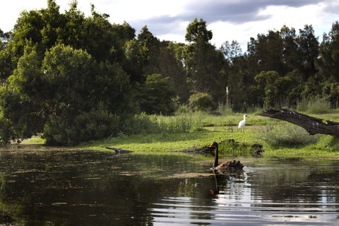 Hunter Wetlands Centre - New Castle Holiday 0