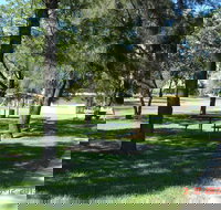 Inglewood Apex-Lions Park - New Castle Holiday