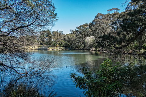 Lake Alexandra Reserve - New Castle Holiday 1