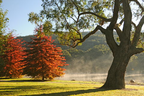 Lake Alexandra Reserve - New Castle Holiday 2