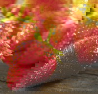 Lambs Valley - New Castle Holiday